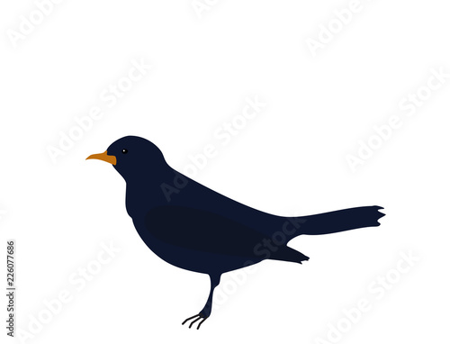 Dark blue bird Songbird on white background, flat design © dmf87