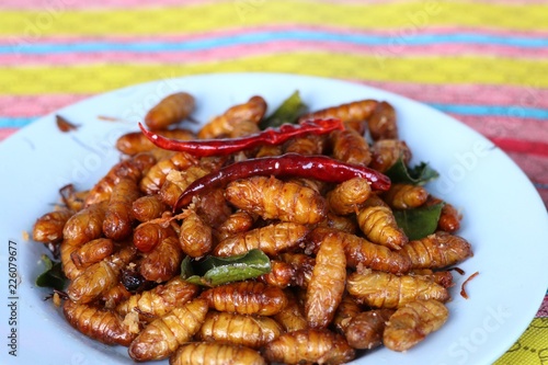 Fried Insect at street food