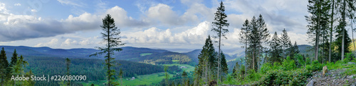 Panorama vom Schwarzwald