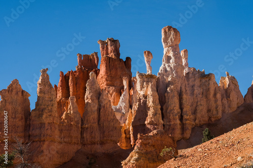 Details of the Hoodoos at Bryce Canyon National Park