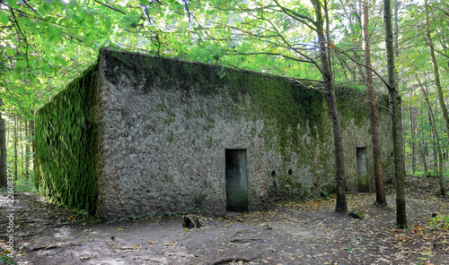 Fototapeta Naklejka Na Ścianę i Meble -  Mamerki: bunkry dowództwa Wehrmachtu