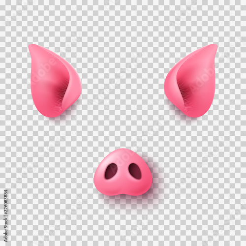 Realistic 3d pig nose and ears