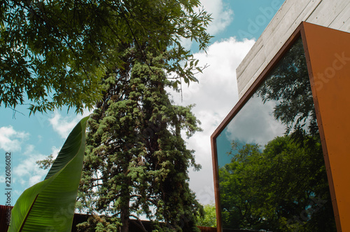 Wallpaper Mural Urbanistic nature Torontodigital.ca