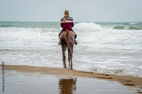 Horse in Saaidia beach