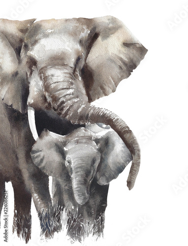 Photography Elephants mama with baby watercolor painting illustration isolated on white back