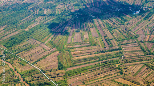 aerial picture of rice field in Borneo in dry season © hilmawan nurhatmadi