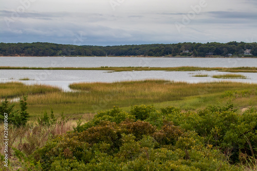 Fototapeta Naklejka Na Ścianę i Meble -  Marsh with water, forest, clouds and sky 