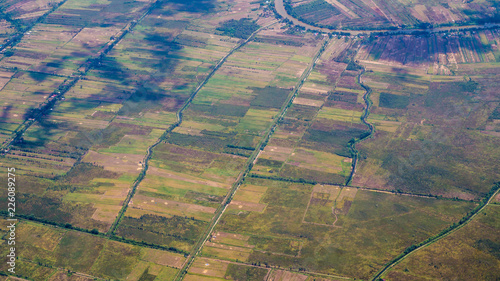 aerial picture of rice field in Borneo in dry season © hilmawan nurhatmadi