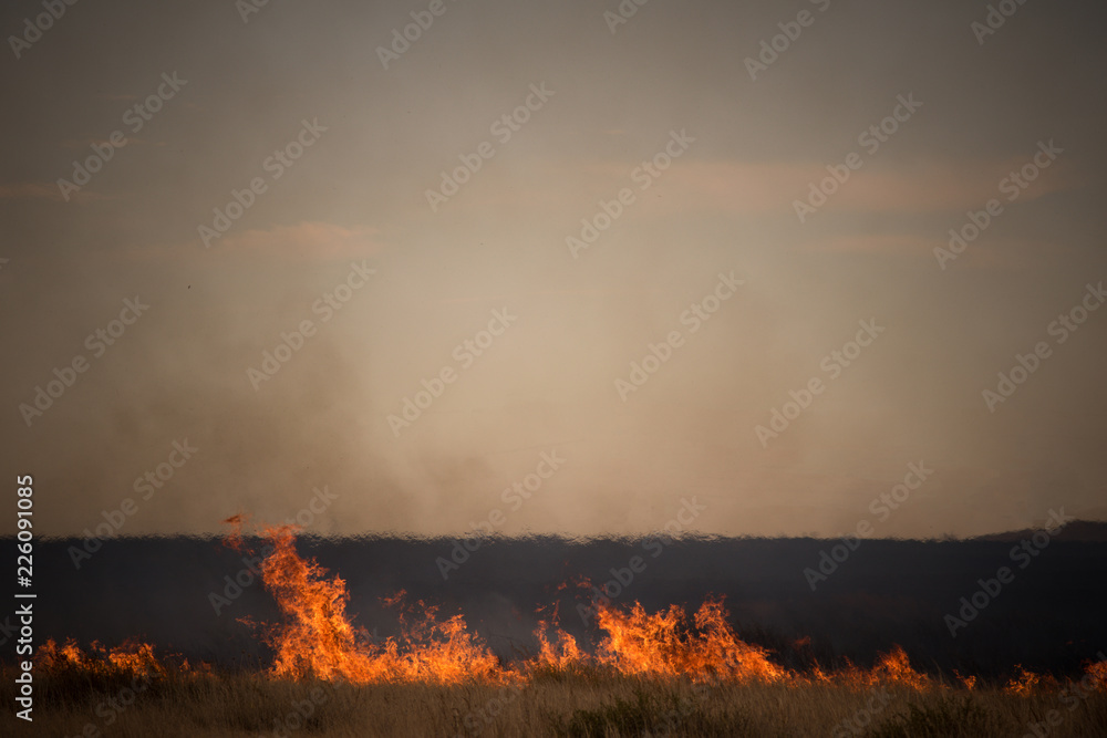 burning field whith dry grass