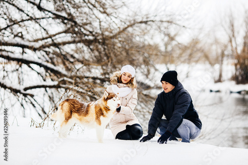 A young couple walking in the forest with the dog red husky. Toned
