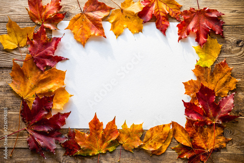 autumn leaves around a sheet of paper