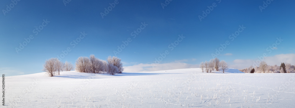Beautiful trees in winter landscape in early morning in snowfall - obrazy, fototapety, plakaty 