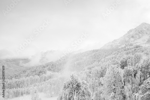 The magic winter forest on a background of mountains
