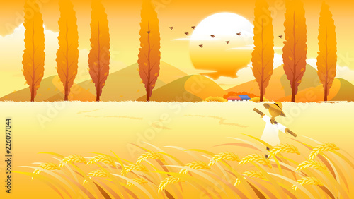 Scarecrow in a wheat field