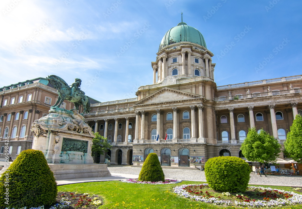 Naklejka premium Royal palace of Budapest, Hungary
