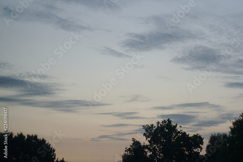 Sunset in Bremen city in summer with trees and beautifyl sky clouds