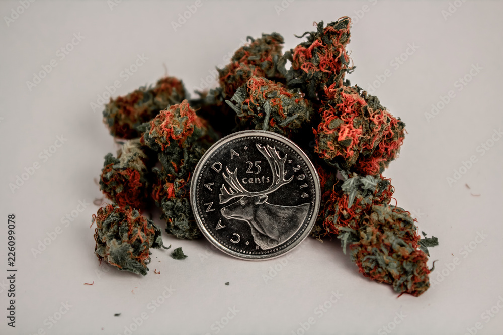 Pile of Marijuana Buds Around a Canadian Quarter
