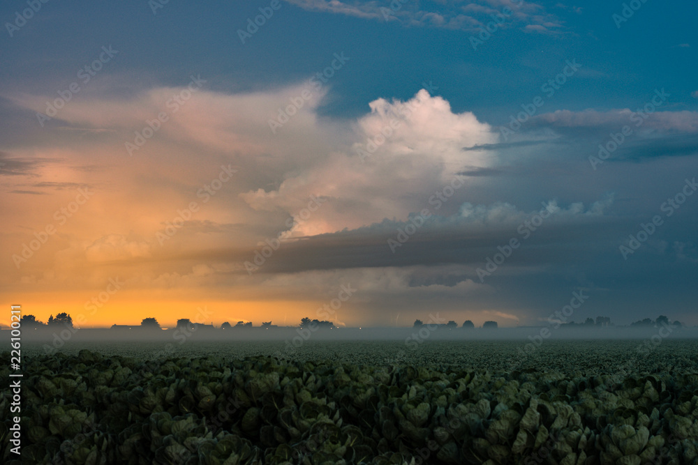 Distant Storm and Greenhouse Lights with Shallow Fog Distant Storm and Greenhouse Lights with Shallow Fog