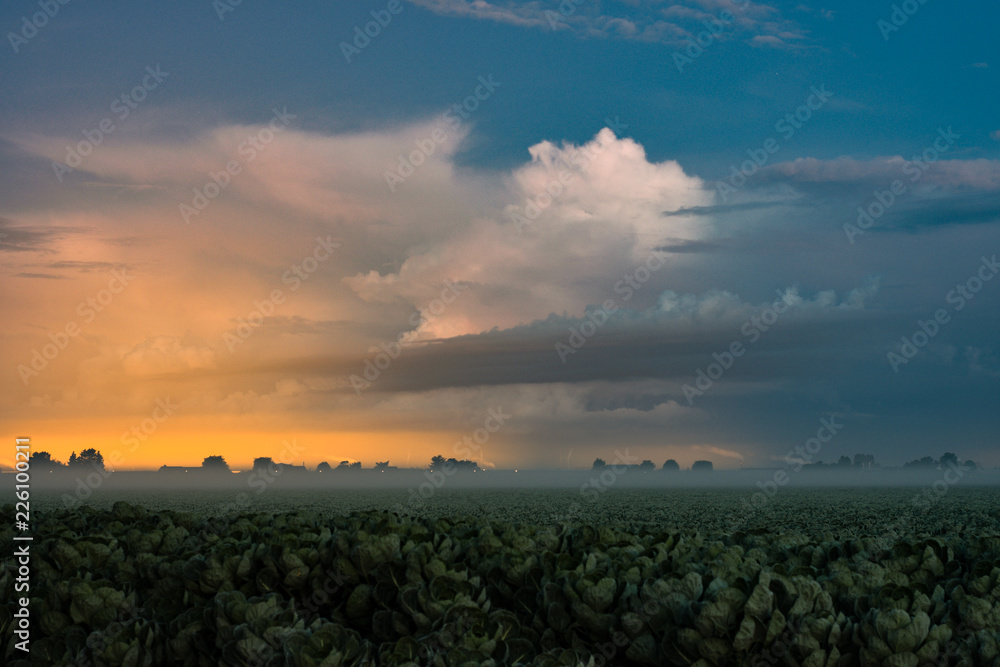 Distant Storm and Greenhouse Lights with Shallow Fog