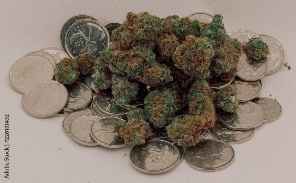 A large pile of medicinal marijuana sitting on an even larger pile of Canadian Coins