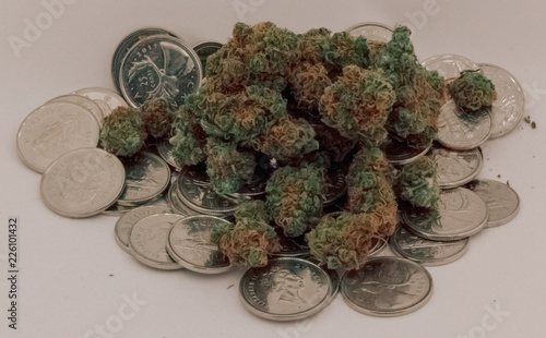 Obraz na płótnie A large pile of medicinal marijuana sitting on an even larger pile of Canadian Coins w salonie