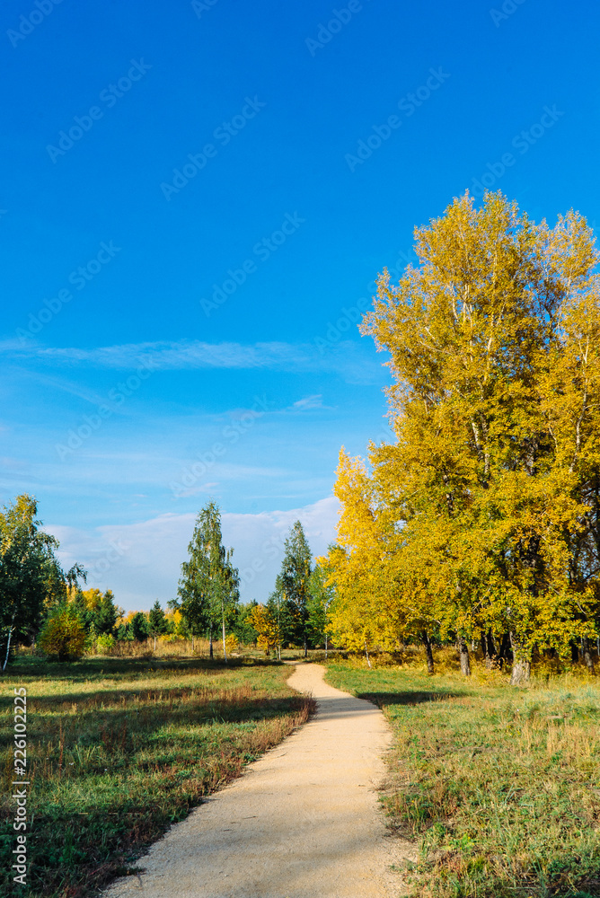 autumn landscape in the Park