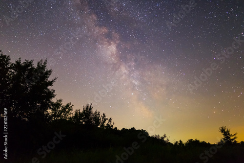milky way above the night forest