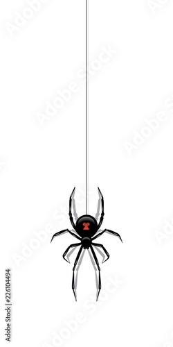 Black spider hanging on a web isolated on white background. Vector design element.