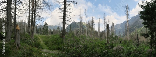 Upper part of Koprova dolina valley in Tatra mountains in Slovakia photo