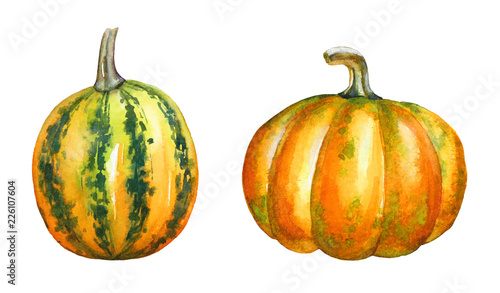 A collection of watercolor hand drawn colorful pumpkins © Lyubov Tolstova