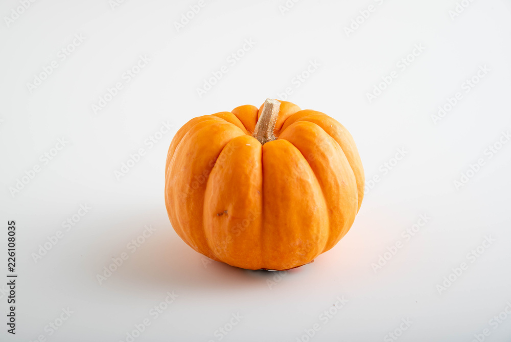 isolated orange pumpkin isolated orange pumpkin