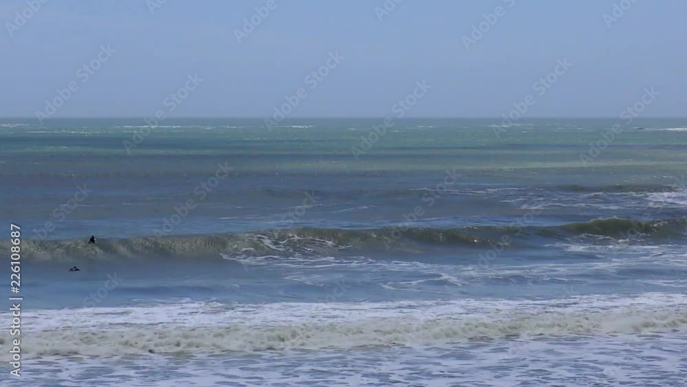 Unidentified surfers at Ano Nuevo State Park, Santa Cruz County, California, USA, 2018 Unidentified surfers at Ano Nuevo State Park, Santa Cruz County, California, USA, 2018