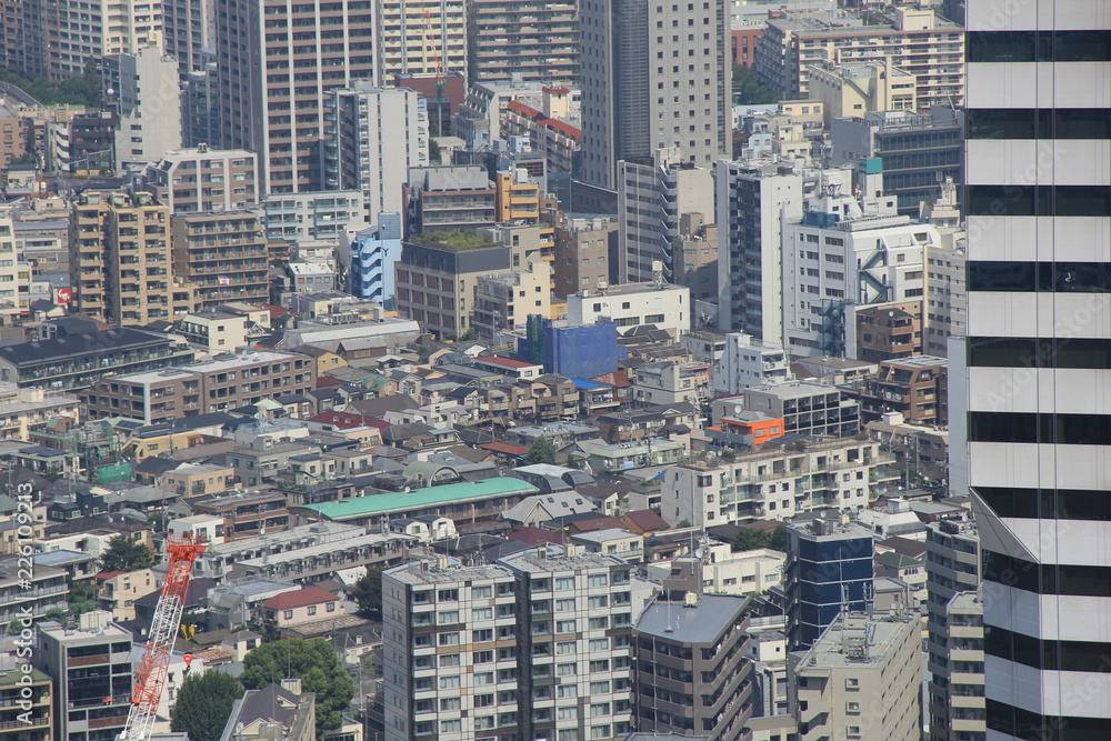 Fototapeta premium 東京都の風景(東京都)