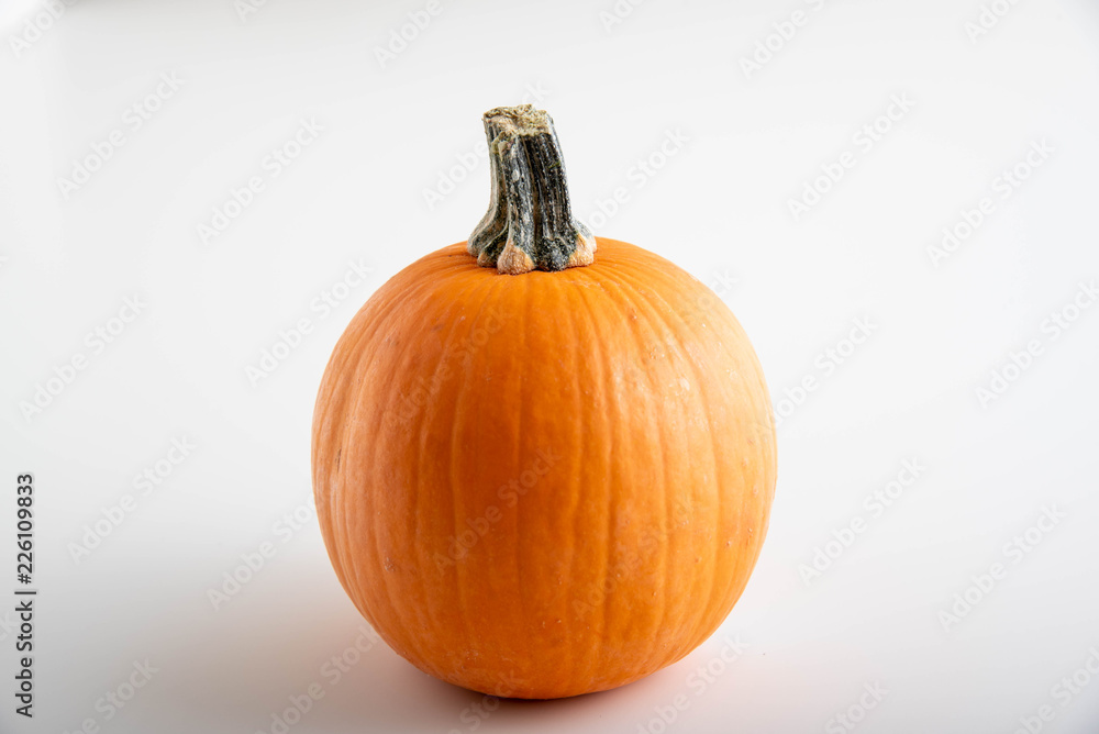 isolated wee be pumpkin isolated wee be pumpkin