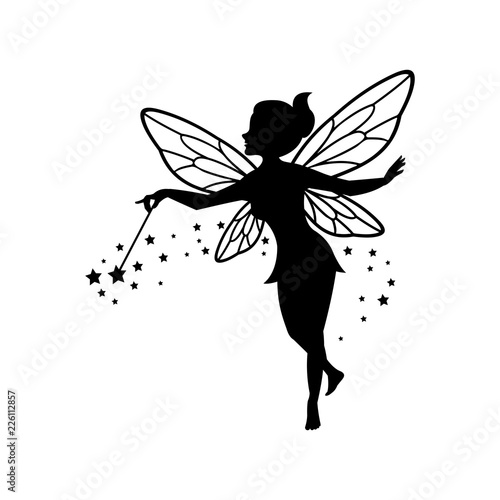 Vászonkép Beautiful Fairy Silhouette