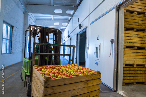 Foto The employee on the electric forklift carry the container wiht ripe apples to inside a fridge airless storage camera