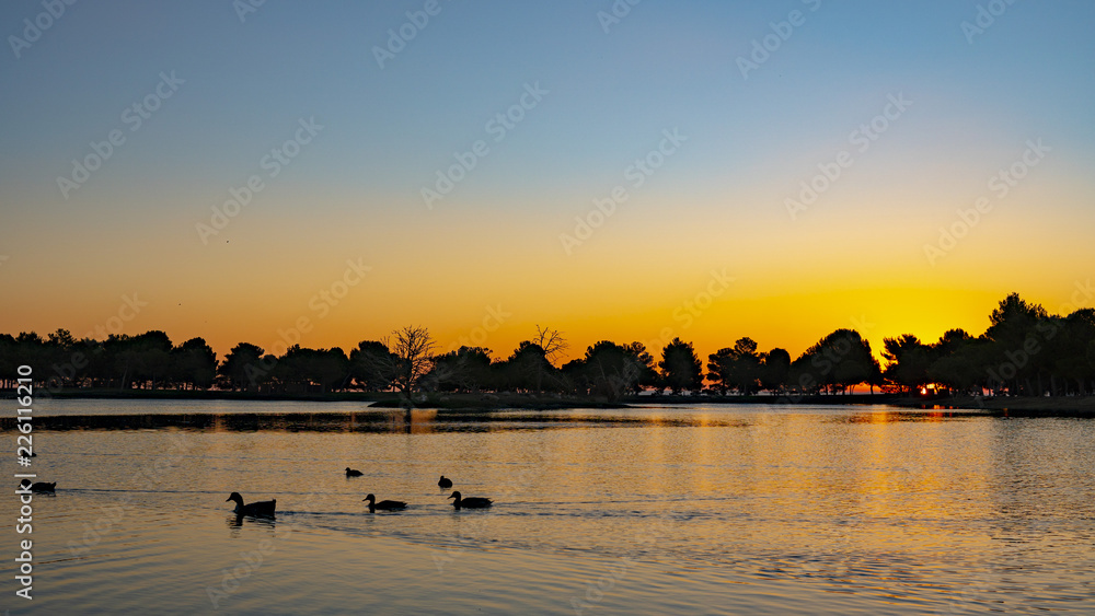 Naklejka premium sunset on the beach