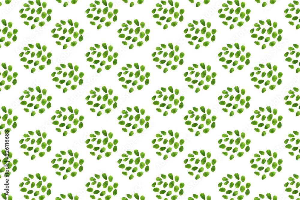 leaf or leaves texture background for nature or religious concept background leaf or leaves texture background for nature or religious concept background
