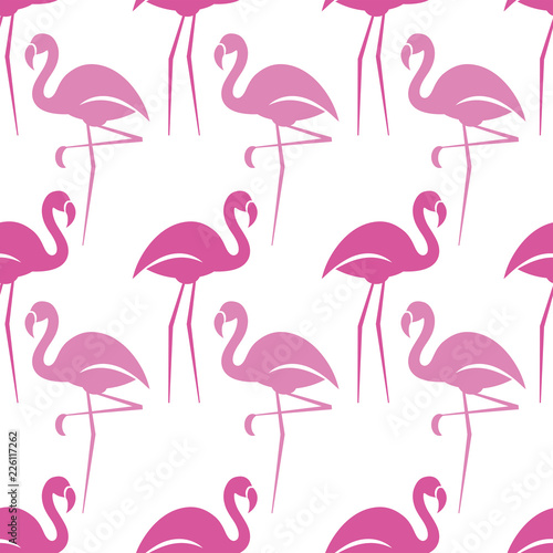 Seamless pattern of flamingos on a white background. Vector illustration.