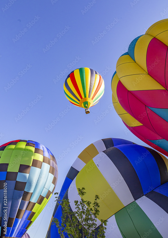 Fototapeta premium Hot Air Balloon in Flight