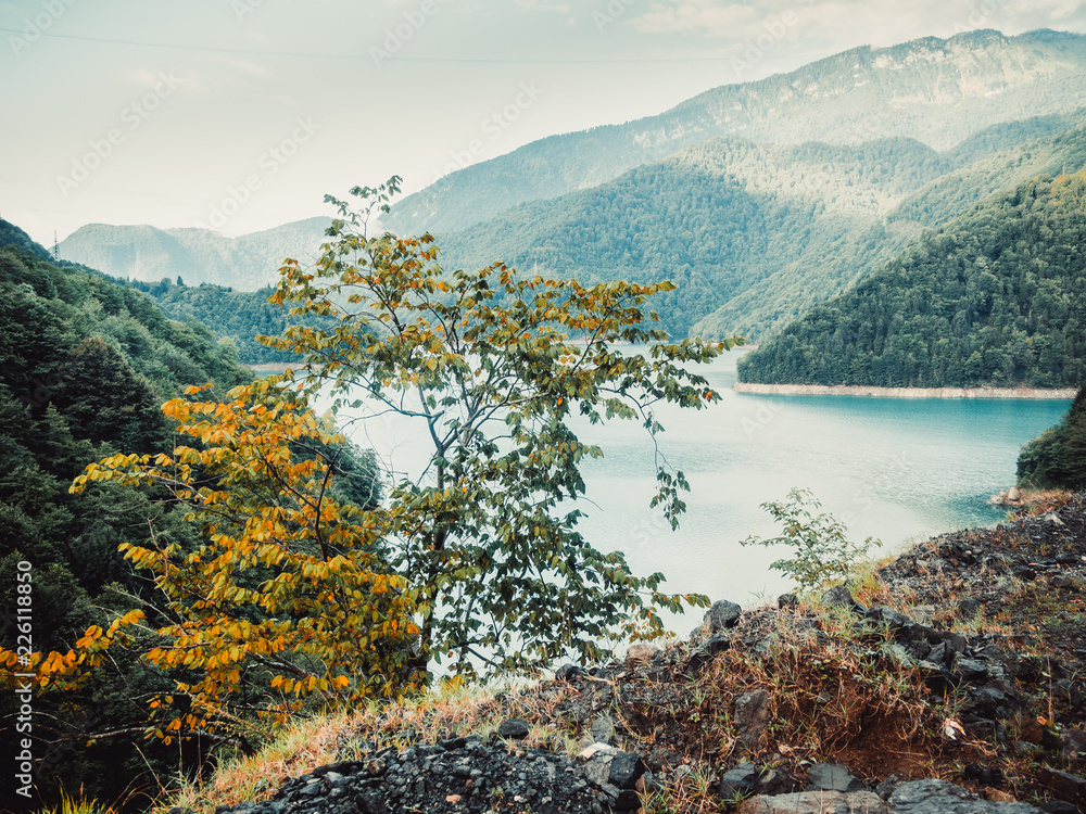 a tree, a lake and the mountains a tree, a lake and the mountains