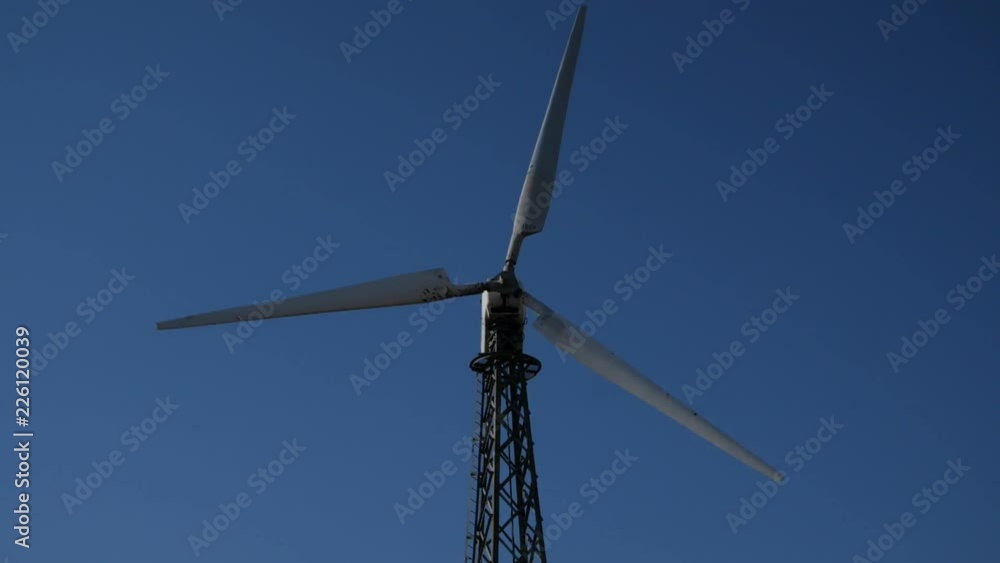 Windmill field in action Windmill field in action