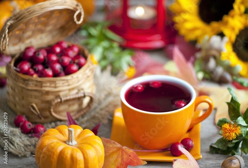 hot winter or autumn drink with spices and wild rose berries  mulled wine  hot wine