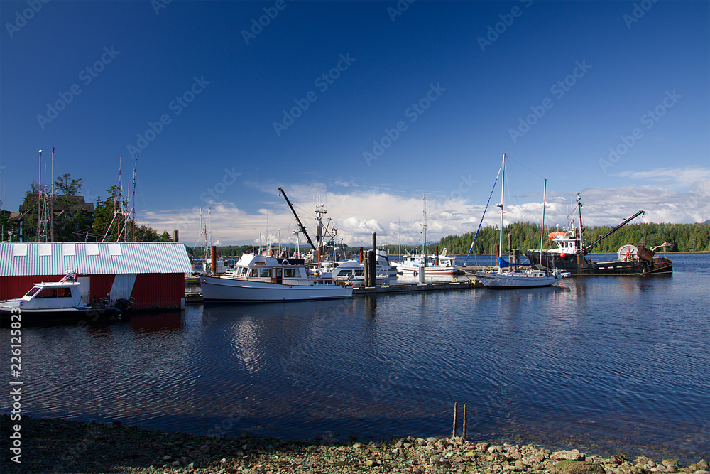 Fototapeta premium VCVR_2430