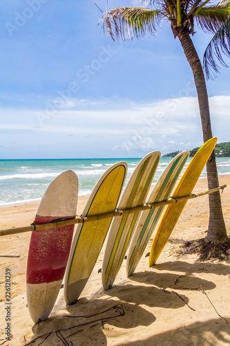 Surfboards for hire