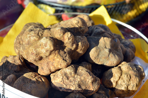 Group of white truffles