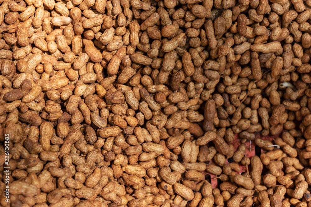 Raw unpeled groundnuts - peanuts freshly harvested Raw unpeled groundnuts - peanuts freshly harvested