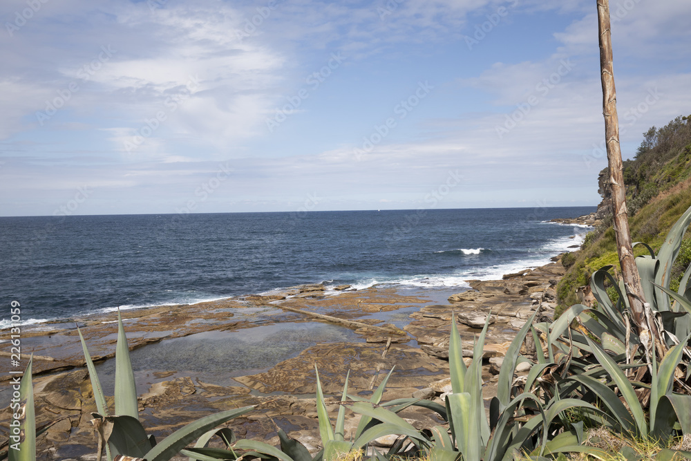 Cliff Dee Why