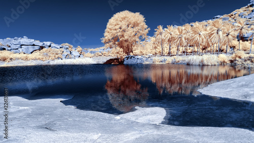 Infrared landscape in false colors of lake and trees near Sugriva's cave in Hampi Karnataka photo