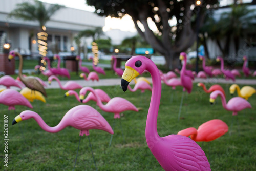 Toy Flamingo in Grass Field